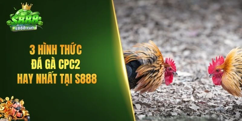 3 hình thức đá gà CPC2 hay nhất tại S888