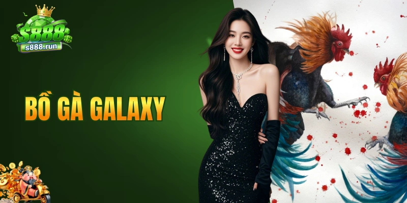 bồ gà Galaxy