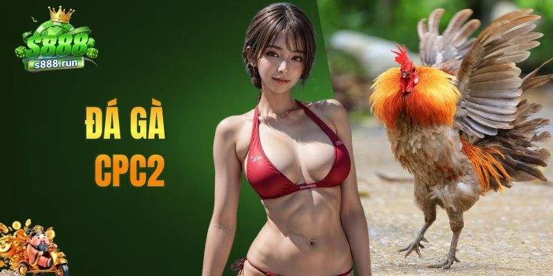 đá gà CPC2