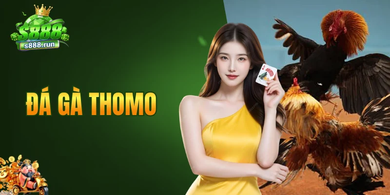 đá gà thomo