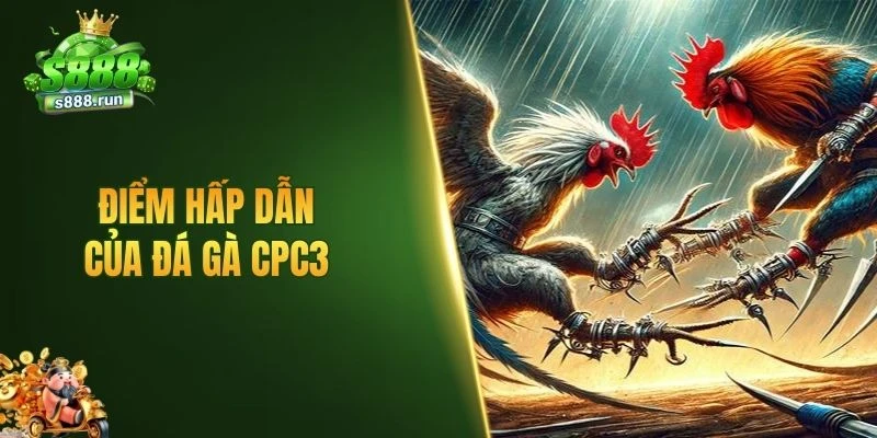 Điểm hấp dẫn của đá gà CPC3