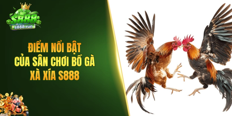 Điểm nổi bật của sân chơi bồ gà Xà Xía