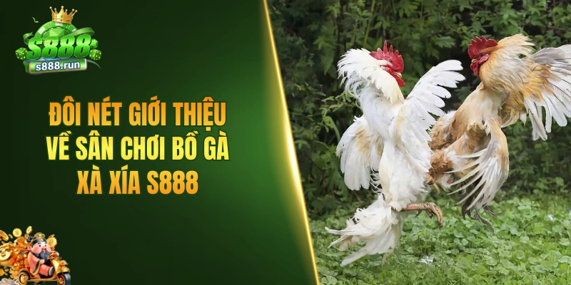 Đôi nét giới thiệu về sân chơi bồ gà Xà Xía