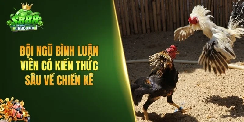 Đội ngũ bình luận viên có kiến thức sâu về chiến kê