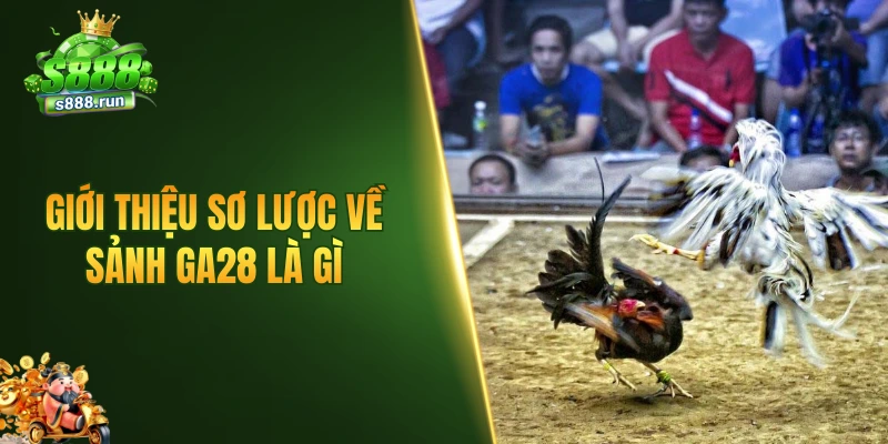 Giới thiệu sơ lược về sảnh GA28 là gì