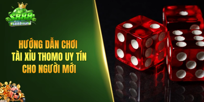 Hướng dẫn chơi tài xỉu Thomo uy tín cho người mới