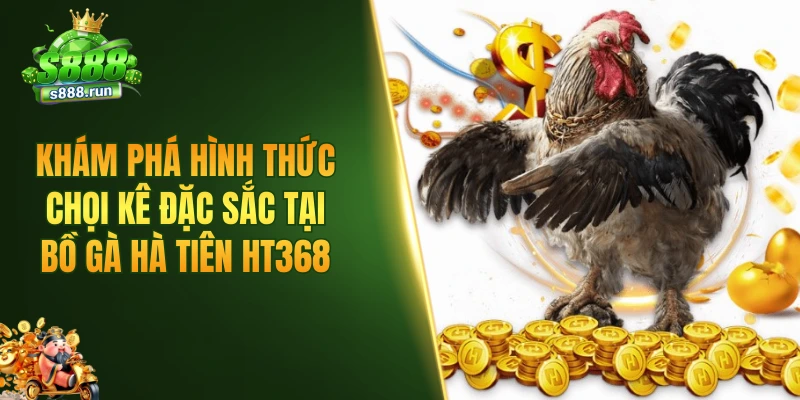 Khám phá hình thức chọi kê đặc sắc tại bồ gà Hà Tiên HT368