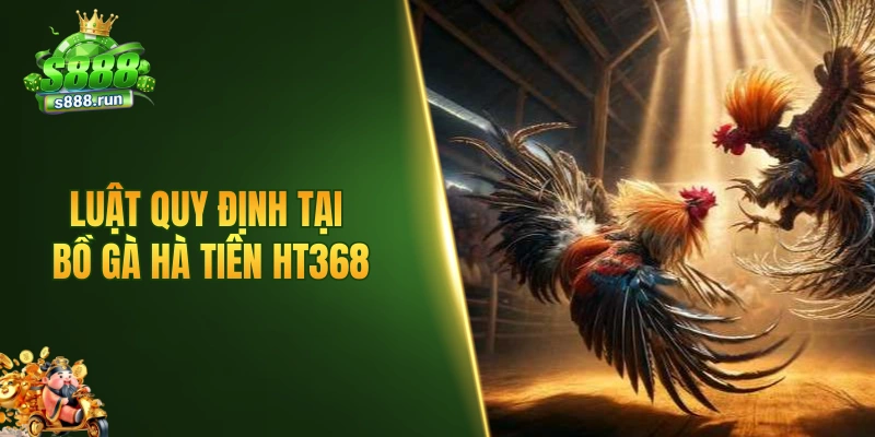 Luật quy định tại bồ gà Hà Tiên HT368