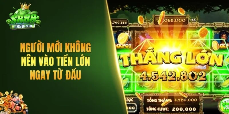 Người mới không nên vào tiền lớn ngay từ đầu