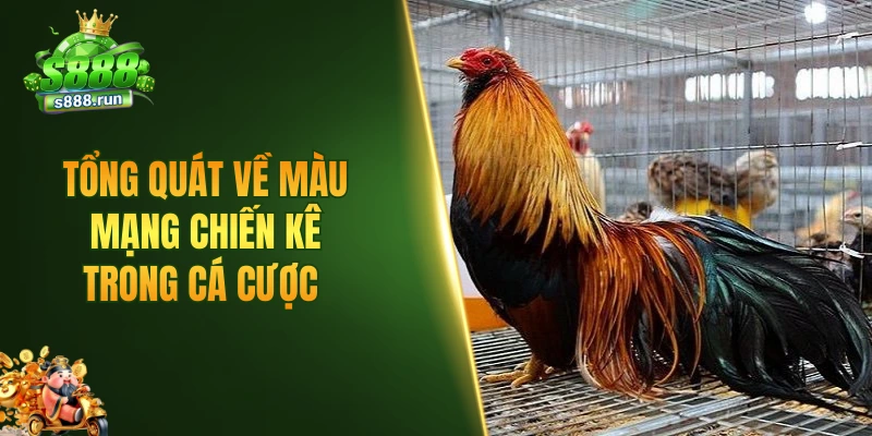 Tổng quát về màu mạng chiến kê trong cá cược